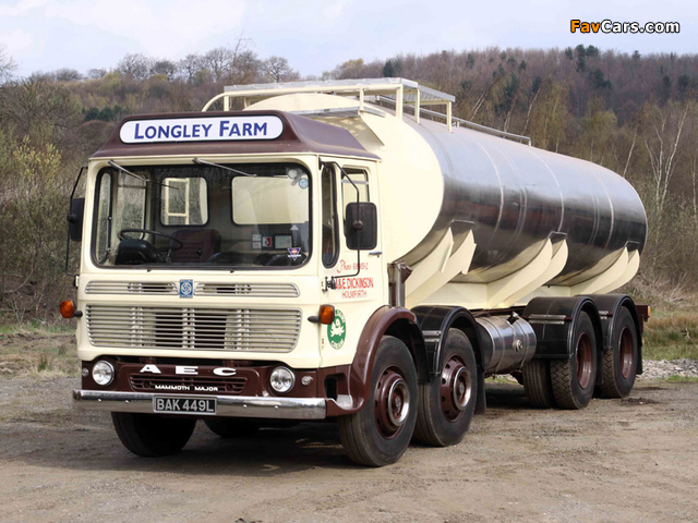 AEC Mammoth Major Tanker TG8 (1965–1978) pictures (640 x 480)