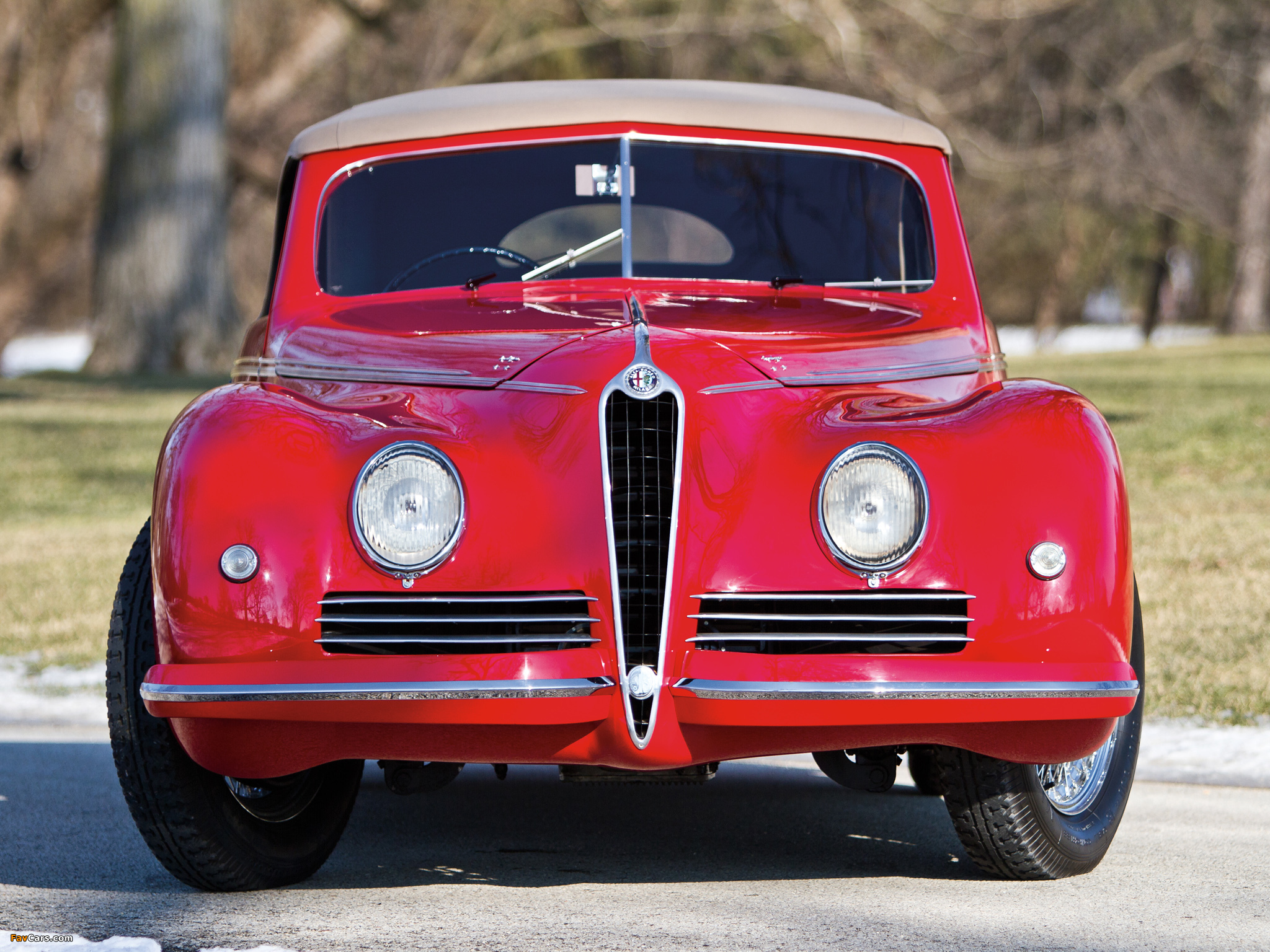 Alfa Romeo 6C 2500 Sport Cabriolet (1942) pictures (2048 x 1536)