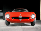 Alfa Romeo Canguro Concept (1964) photos