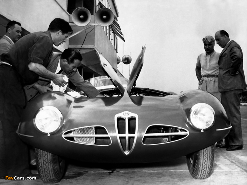 Alfa Romeo 1900 C52 Disco Volante Spider 1359 (1952) wallpapers (800 x 600)