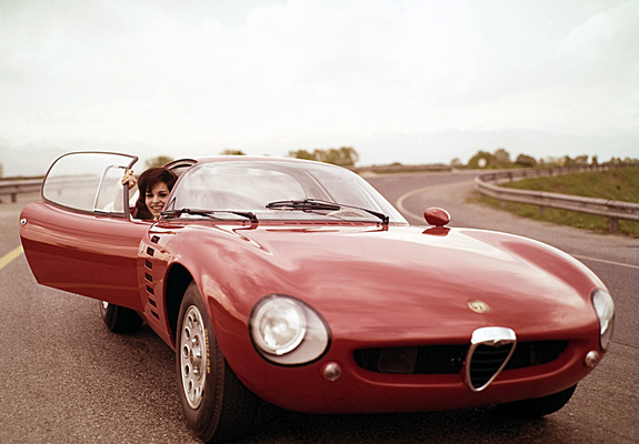 Alfa Romeo Canguro Concept (1964) wallpapers