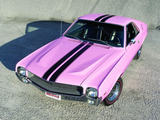 AMC AMX Playmate Pink 1969 images