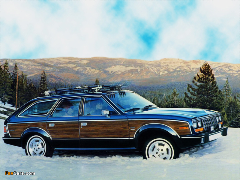 Pictures of AMC Eagle Wagon 1985 (800 x 600)