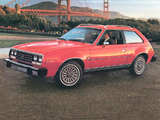 AMC Spirit D/L Sedan 1979–80 photos