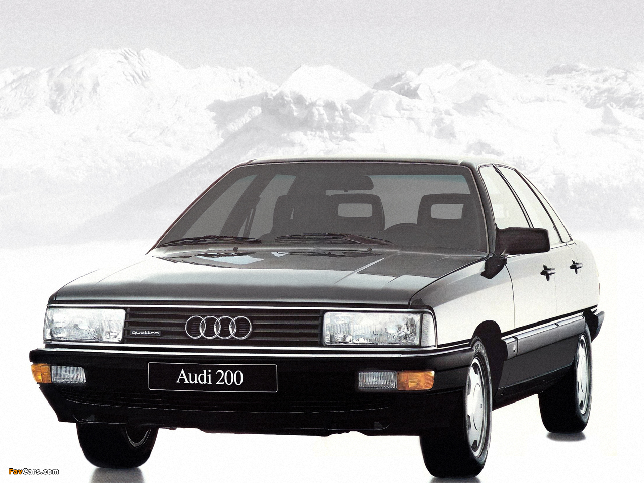 Photos of Audi 200 quattro 44,44Q (1983–1987) (1280 x 960)