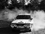 Pictures of Audi 200 quattro Group A Rally Car (1987–1991)