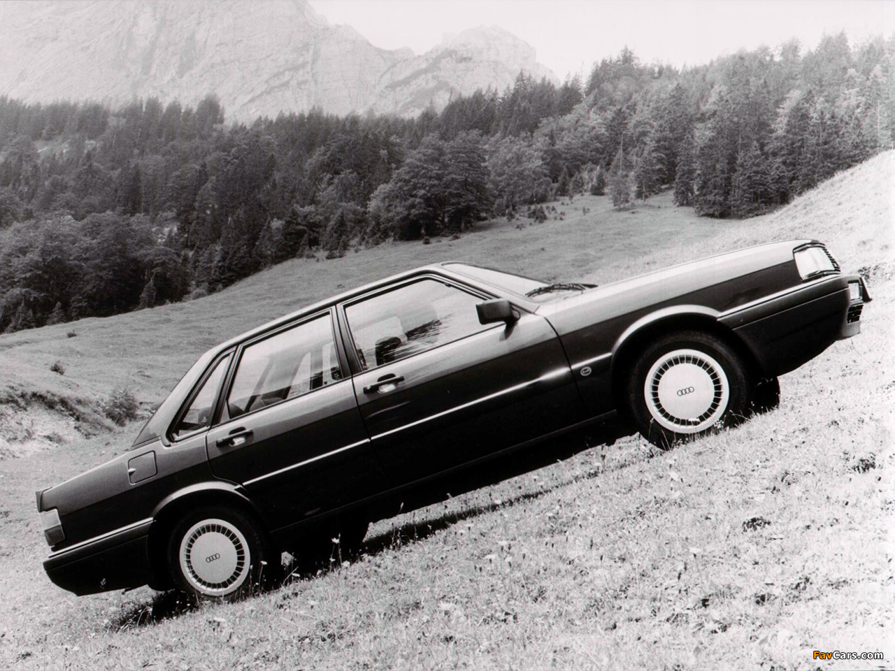 Audi 90 quattro B2 (1984-1987) pictures (1280x960)