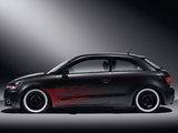 Photos of Audi A1 Hot Rod Concept 8X (2010)
