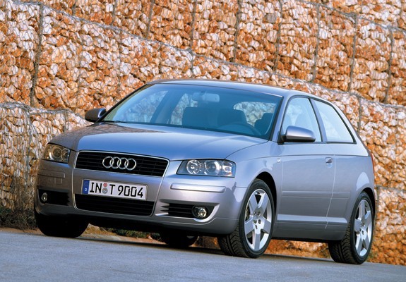 Audi A3 2.0 TDI 8P (2003–2005) images