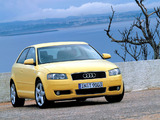 Audi A3 2.0 FSI 8P (2003–2005) photos