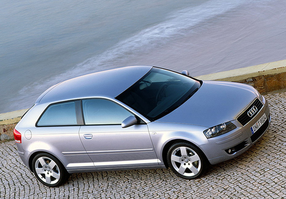 Audi A3 2.0 TDI 8P (2003–2005) photos