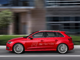 Images of Audi A3 e-Tron Prototype (8V) 2013