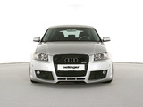 Images of Oettinger Audi A3 Sportback 8PA