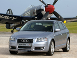 Pictures of Audi A3 Sportback 2.0T ZA-spec 8PA (2005–2008)