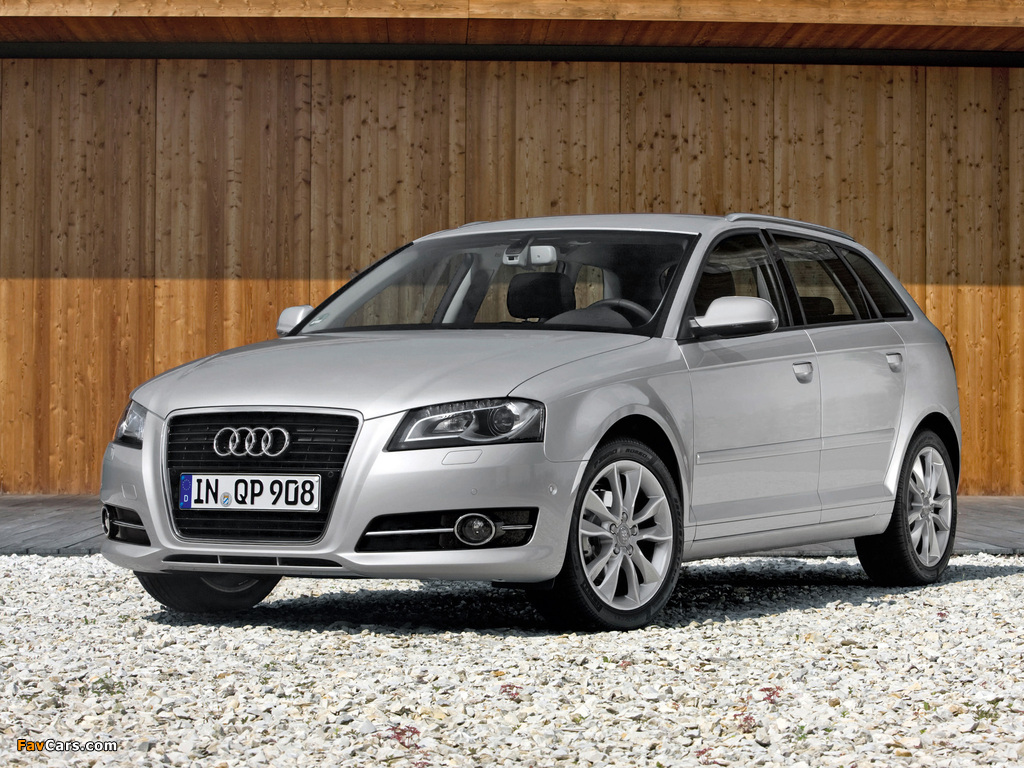 Pictures of Audi A3 Sportback TFSI 8PA (2010) (1024 x 768)