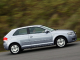 Audi A3 2.0 TDI ZA-spec 8P (2003–2005) wallpapers