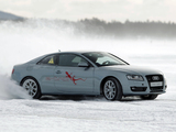 Audi A5 e-Tron quattro Coupe Prototype 2011 photos