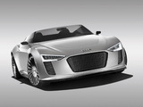 Audi e-Tron Spyder Concept 2010 pictures
