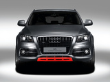 Images of Audi Q5 Custom Concept 2009