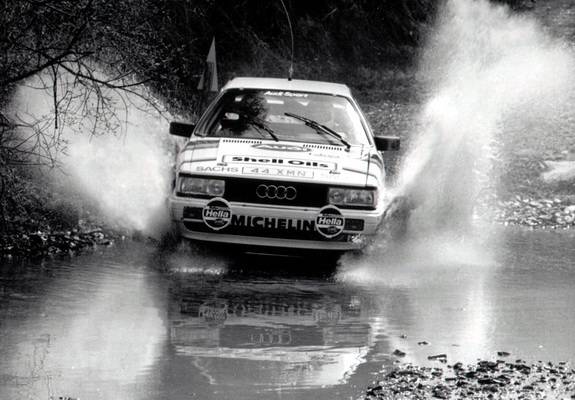 Images of Audi Coupe quattro Rally Car (81,85) 1985–88