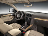 Images of Audi Q5 3.0T quattro (8R) 2012