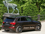 Pictures of Senner Tuning Audi Q5 (8R) 2011