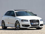 Images of MTM Audi S3 Clubsport (8P) 2008–10