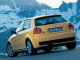Pictures of Audi S3 (8L) 2001–03