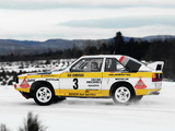 Images of Audi Sport Quattro Group B Rally Car 1984–86