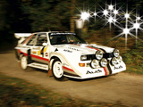 Photos of Audi Sport Quattro S1 Race of Champions 1988