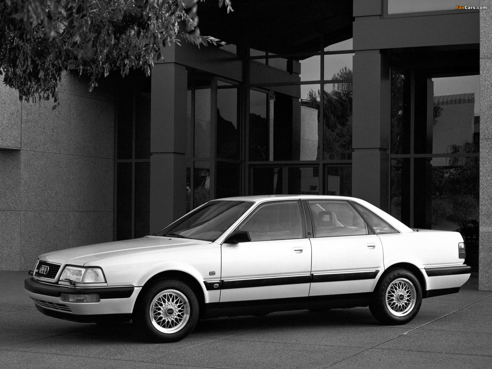 Audi V8 US-spec 1989–94 pictures (1600 x 1200)