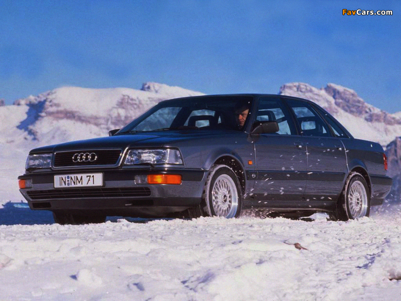 Audi V8 1988–94 wallpapers (800 x 600)