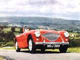 Images of Austin Healey 100 (BN1) 1953–55