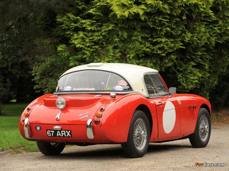 Austin Healey 3000 Rally Car (MkII) 1962 pictures (800 x 600)