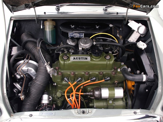 Austin Mini Cooper S Rally (ADO15) 1964–68 images (640 x 480)