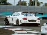Images of Bentley Continental GT3 2013