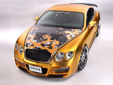 Photos of ASI Bentley W66 GTS Gold 2008–10