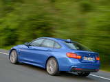 BMW 428i Gran Coupé M Sport Package (F36) 2014 photos