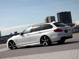 3D Design BMW 5 Series Touring (F11) 2011 images