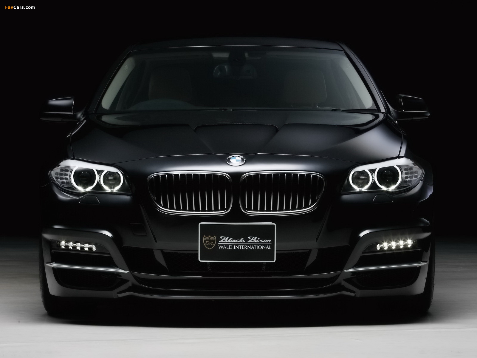 WALD BMW 5 Series Black Bison Edition (F10) 2011 photos (1600 x 1200)