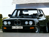 BMW 528i Sedan (E28) 1981–87 photos