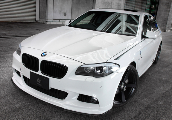 Images of 3D Design BMW 5 Series M Sports Package (F10) 2010
