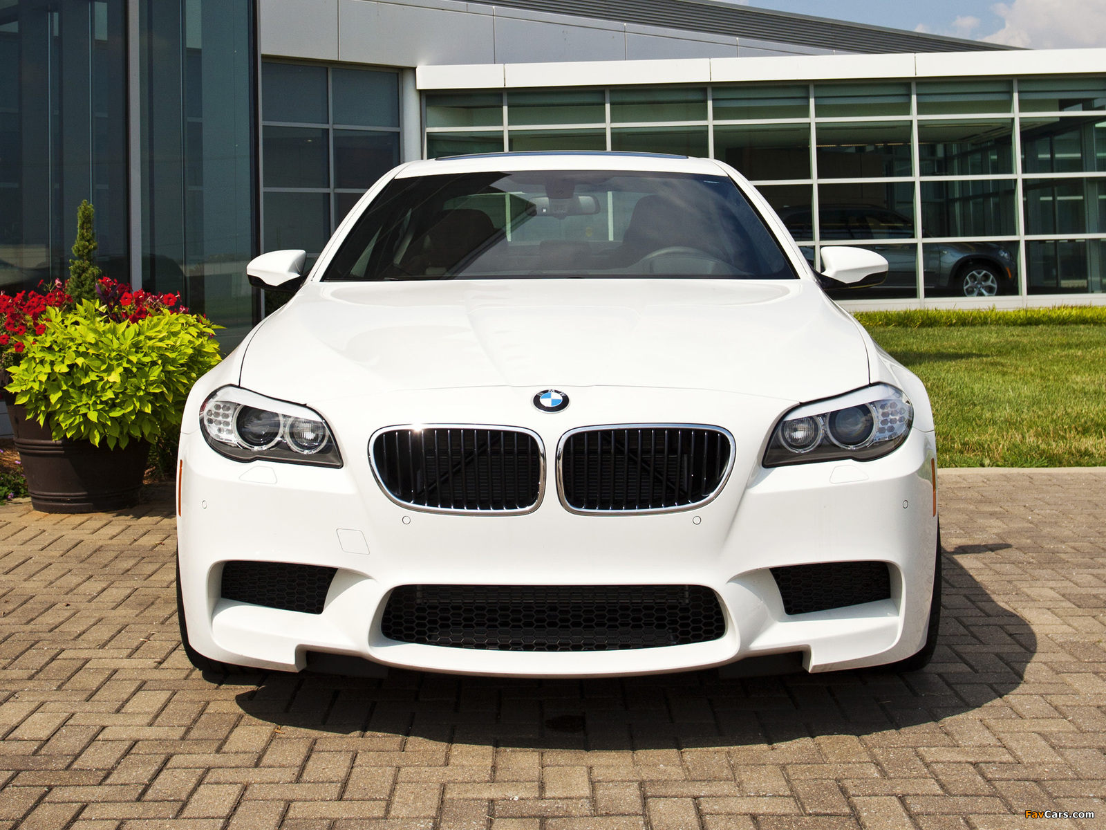 Images of BMW M5 US-spec (F10) 2011 (1600 x 1200)