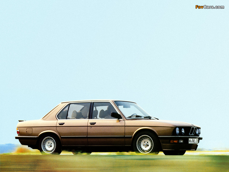 Photos of BMW 528i Sedan (E28) 1981–87 (800 x 600)