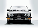 BMW 528i Sedan (E28) 1981–87 wallpapers