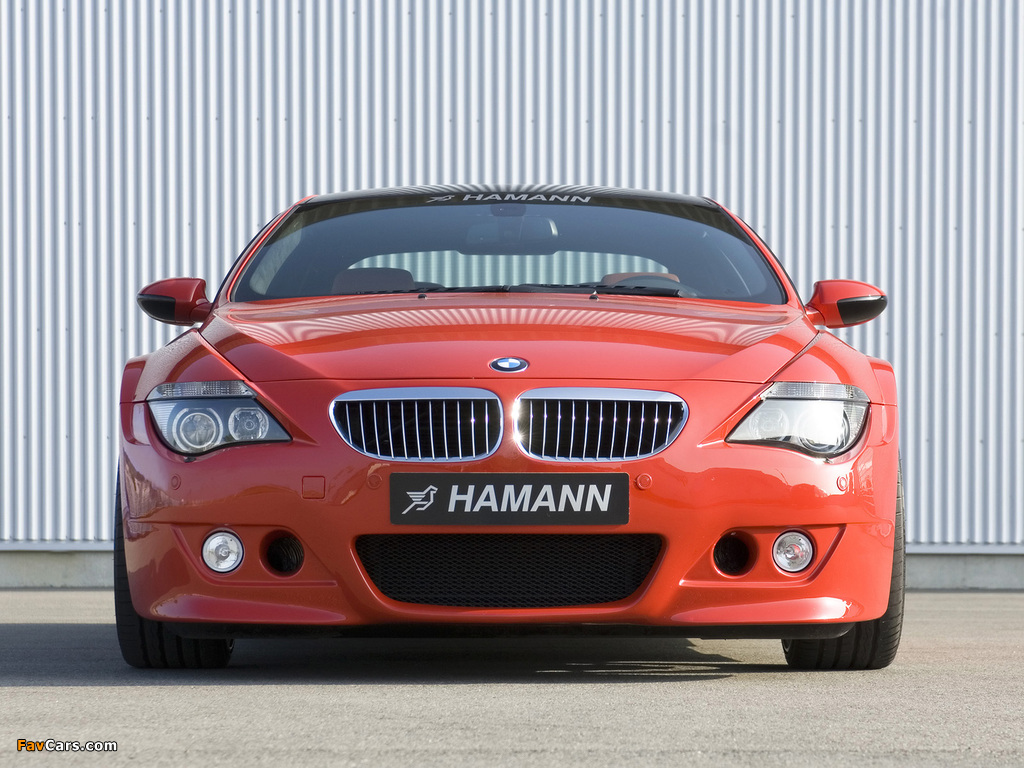 Hamann BMW M6 Widebody Edition Race (E63) wallpapers (1024 x 768)