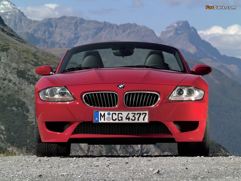BMW Z4 M Roadster (E85) 2006–08 images (800 x 600)