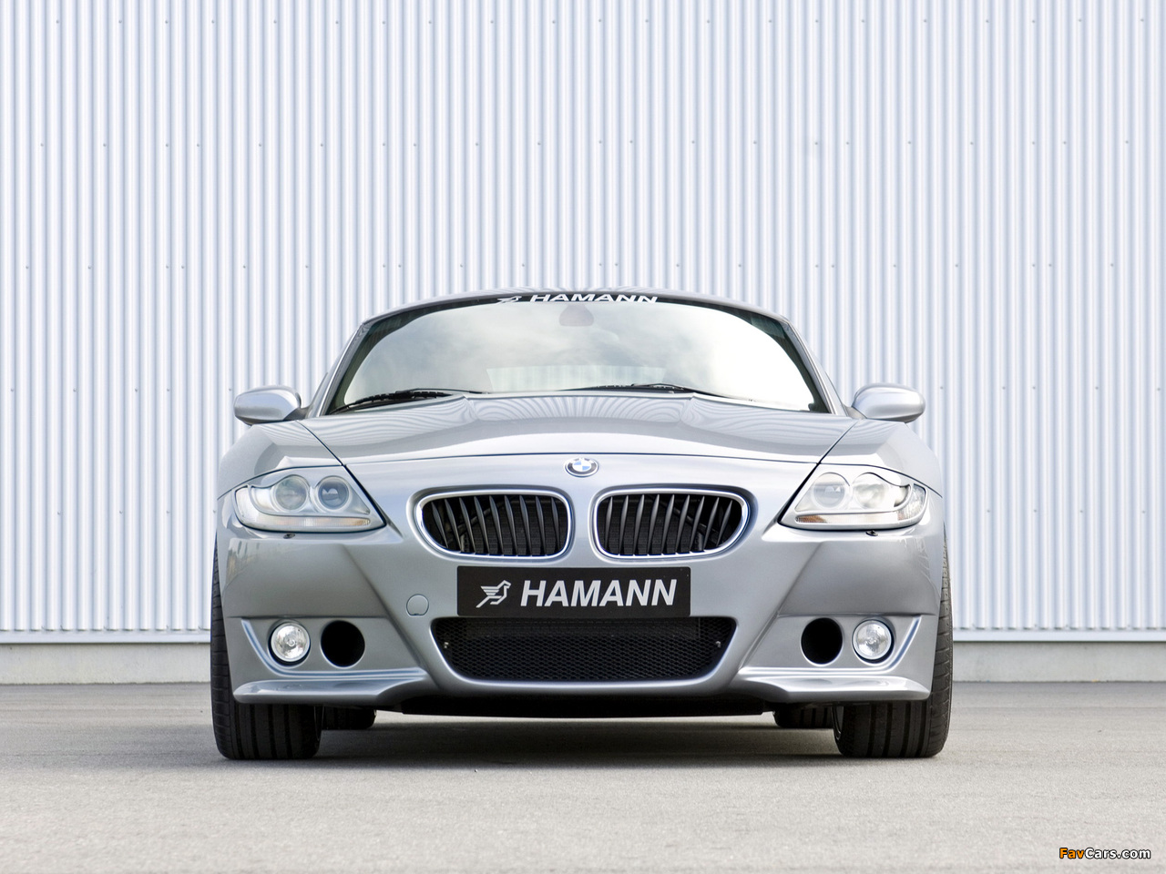 Hamann BMW Z4 M Coupe (E85) 2006–09 photos (1280 x 960)