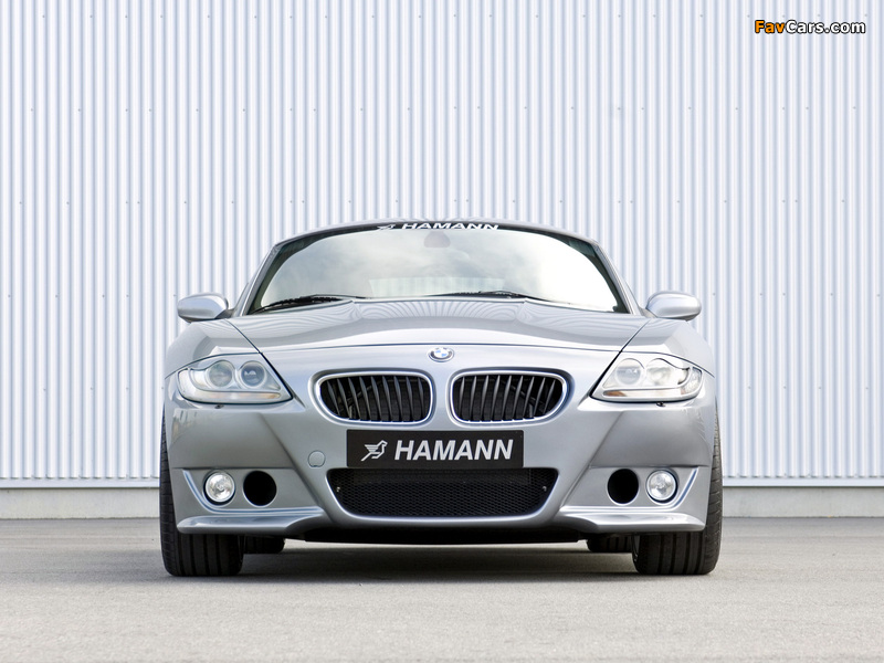 Hamann BMW Z4 M Coupe (E85) 2006–09 photos (800 x 600)