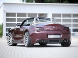 Rieger BMW Z4 (E85) 2010 pictures